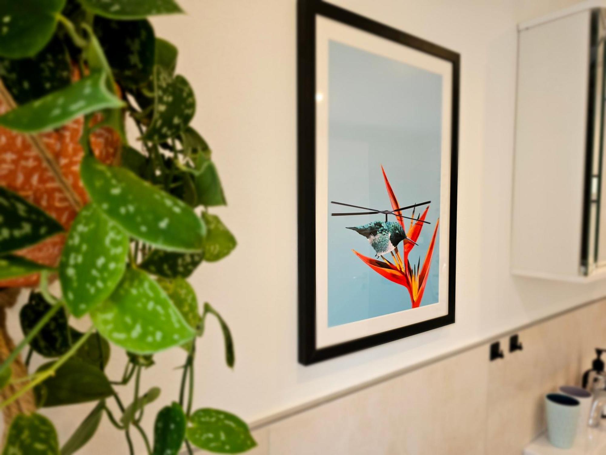 Kolibri - Design Maisonette - Nintendo Switch, Streaming, Bikestore, E-Wallbox Marburg Buitenkant foto